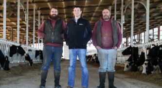 Two dairy farmers standing with a Plains Commerce banker in a cow barn